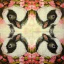 105 Rabbits:  natürlich - 3-ply